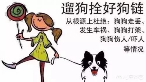 长沙阿拉斯加走失:我家阿拉斯加丢了，怎么才能让它回来？