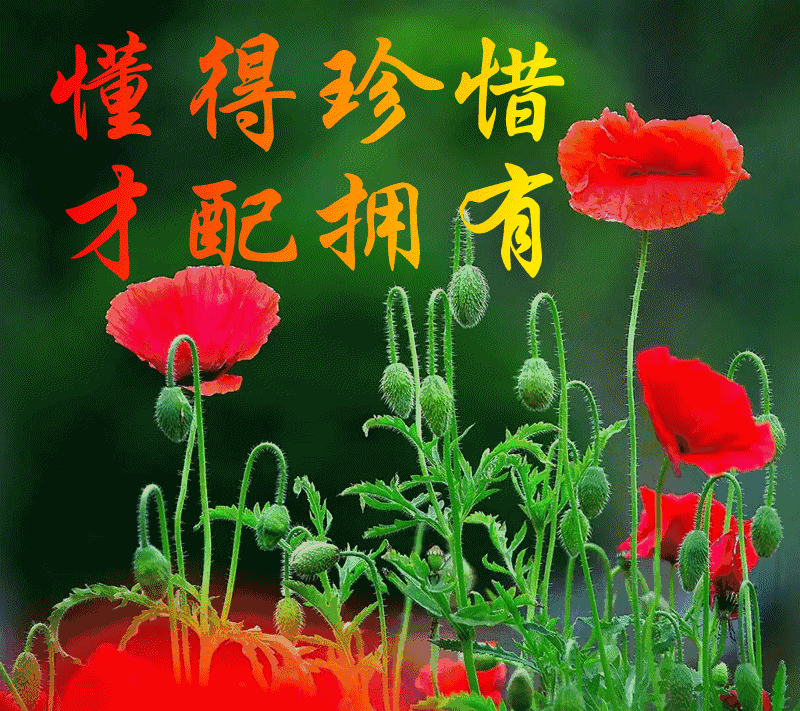 谁的出现美丽了你的人生？