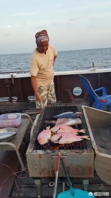 台湾成功港旗鱼价格多少钱一斤:如果让你出海钓一次鱼，你愿意出多少钱？