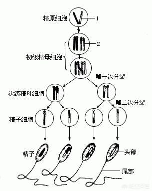 (1个回答)