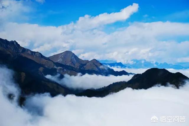 带宠物鸭扫大街萌翻网友:为什么摄影师都喜欢往四川跑？