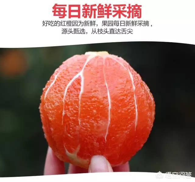 柑橘的种类很多，都有什么呢？
？