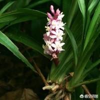 微信名字好听又霸气:我要给微信起一个霸气名字