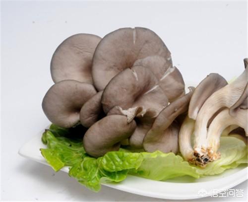 椒盐平菇怎么做好吃，蘑菇怎样油炸才能又酥又美味