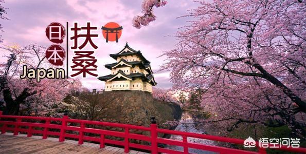 扶桑树:到日本有东渡扶桑之说，这是什么意思呢有哪些依据
