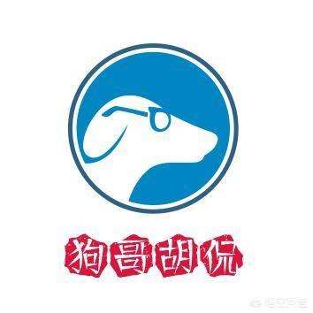投资5万能做什么生意？月入5000左右的小生意？