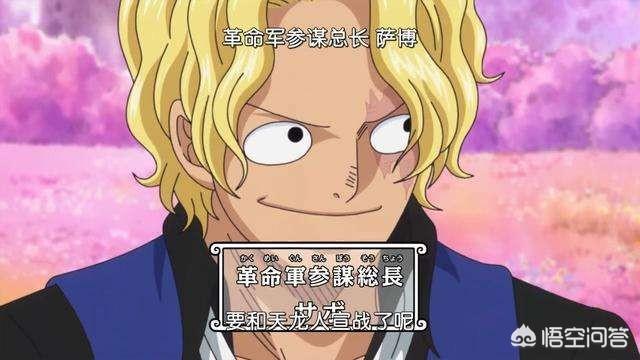 头条问答 海贼王 仅依靠很弱的四个军长 革命军为什么敢于向世界政府宣战 48个回答