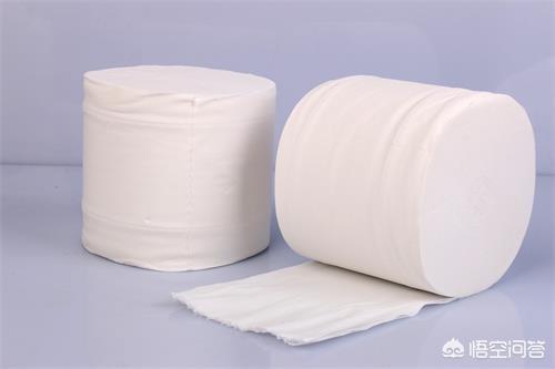 什么猫容易有泪痕:订了一只英短乳白，看起来有泪痕，请问严重吗？