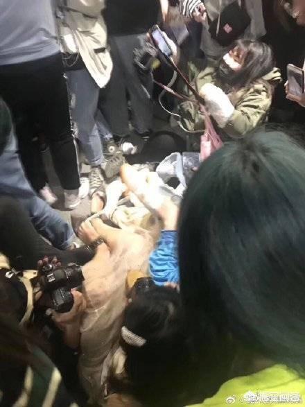 网曝杨紫机场被砸:网曝杨紫机场被砸，理智追星不好吗？