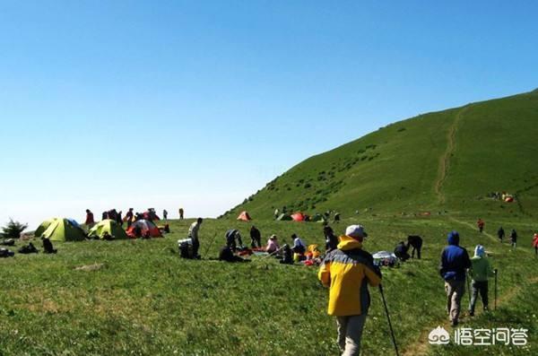 通州大运河森林公园照片:北京最适合野餐搭帐篷的地方是哪？