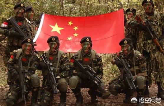 我是特种兵分集剧情介绍:《我是特种兵》一共有几部为什么有人说一部不如一部