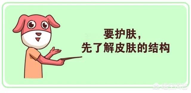 脸黄是什么原因(脸黄是什么原因该怎么调理)