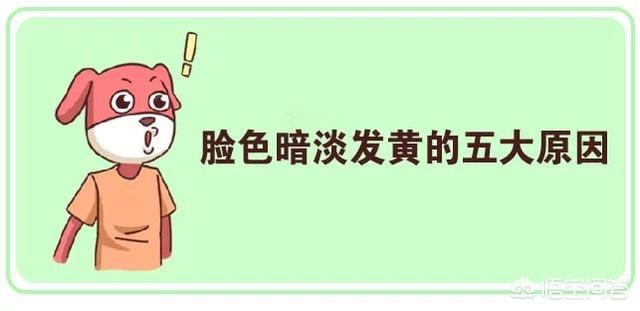 脸黄是什么原因(脸黄是什么原因该怎么调理)