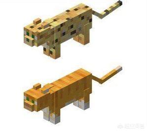 豹猫守宫成体:《我的世界》豹猫怎么驯服？怎么繁殖？有什么用？ 豹猫守宫和豹纹守宫