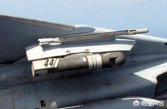 朱茵家的藏獒价值1200万:抖音国宝真的赚了六亿九千万吗？