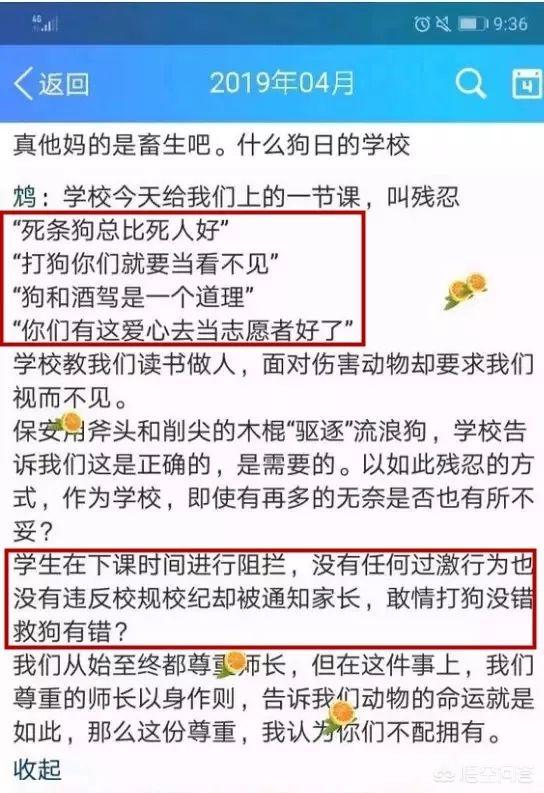 网上再现虐狗事件:如果发现别人虐狗，我们能做什么去帮助狗狗？
