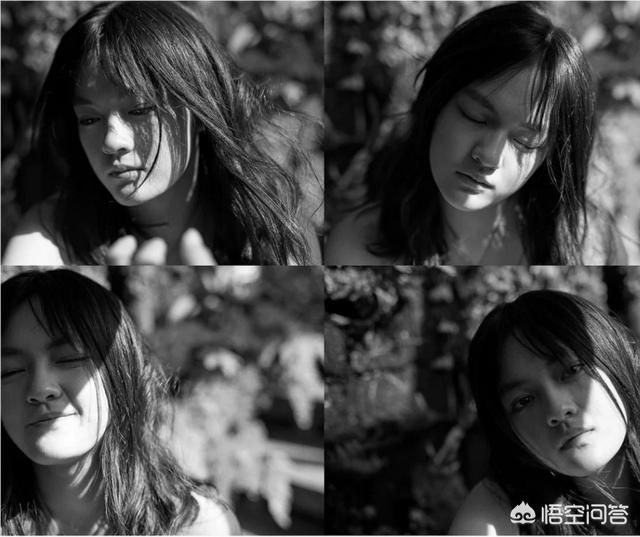 黄晓萌:如何评论电视剧《陆地之王》