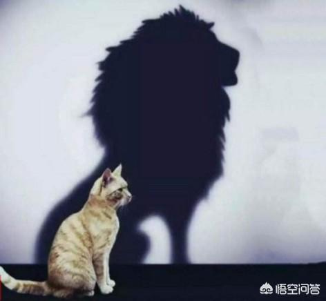 人活着最大的悲剧是什么？我们又怎样才能不活成别人的影子？