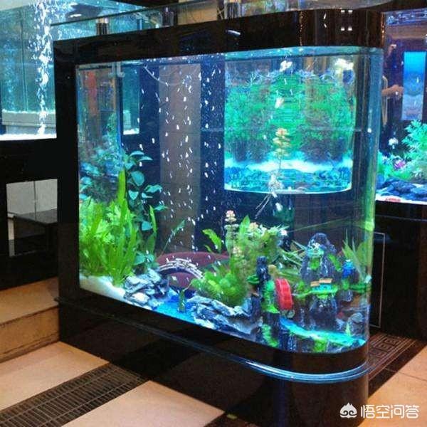 观赏鱼鱼缸批发:如何选择一款适合自己的鱼缸？
