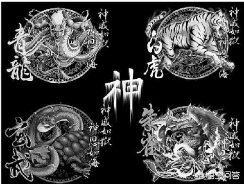 野猫口神龙事件:为什么古人能想象出各种神兽，是不是古代真的有这些东西