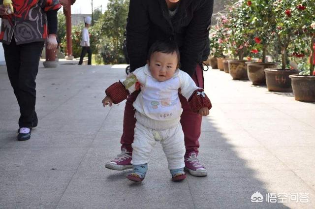 哈士奇模仿婴儿爬行视频:一周岁的宝宝一般过多久可以自己独立走路呢？