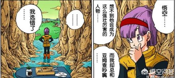 木村那美:《龙珠》中的爱情元素分析，四对夫妻究竟是如何在一起的