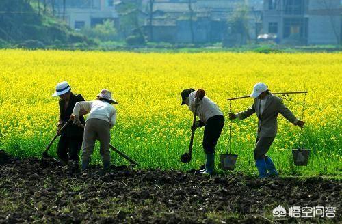 农民有哪些方法可以挣钱？