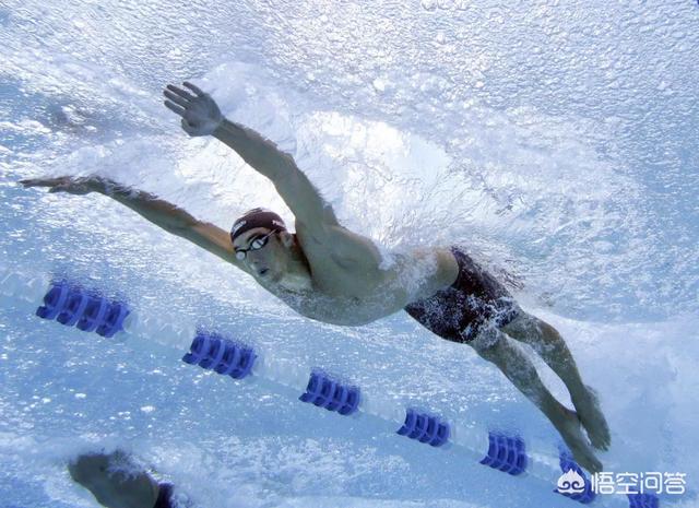 蝶泳教程(蝶泳教程慢动作)