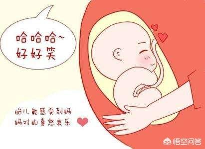 古巨基回应怀孕:郑爽爆粗回应代孕，徐静蕾说代孕正常：底层女性的子宫有多廉价？
