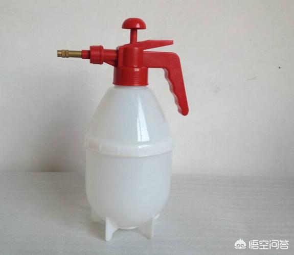 金毛体臭怎么去除:金毛把垫子睡臭了，金毛把垫子睡好臭怎么洗？
