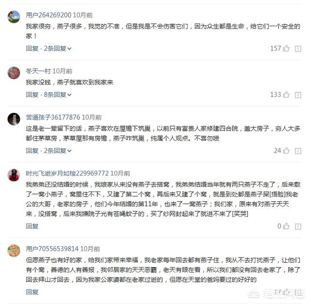 燕子美人会跳缸吗:大家认为草缸哪种鱼最好看？