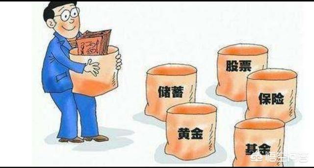 翡翠新手要学什么,钓鱼初学者需要哪些基本知识？