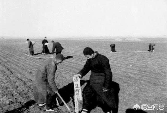 村里的集体土地,村民非说是自己家的祖传土地,证件又没有,这种问题大家怎么看？