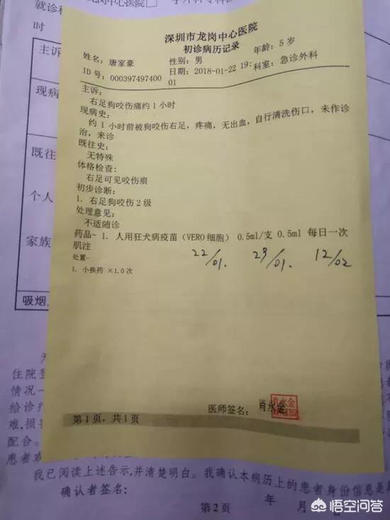 深圳狗狗网怎么了:深圳一狗咬男孩两次，男孩父亲打死狗遭索赔2万, 你怎么看？