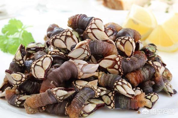 藤壶可以吃吗，船壳上的寄生物藤壶，竟然是美味的天然牡蛎，刮下来能吃吗？