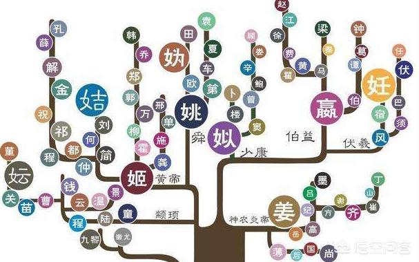 姓王的人祖先来自哪里，有什么演变吗