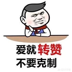 新京城四美,有哪些人红戏不红的明星？