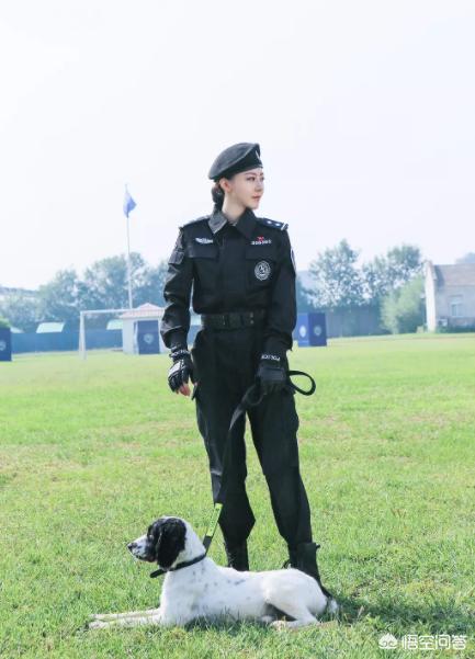 警花与警犬:如何评价电视剧《警花与警犬》？为何被频频吐槽？ 警花与警犬的狗
