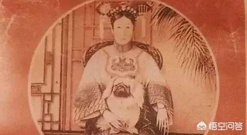 北京犬:京巴犬（北京犬）是什么情况？