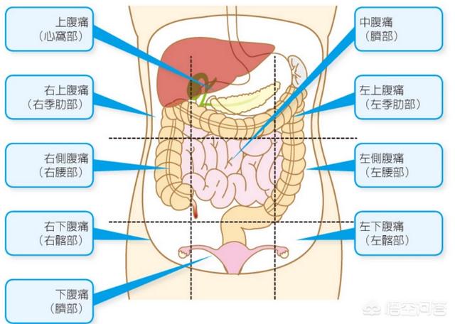 肠梗阻的症状:左腹部疼是肠梗阻之类的疾病吗？为什么？