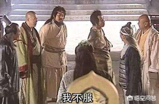 明教圣猫养育资格:杨逍非常聪明，又武功高，并且非常衷心，五散人为什么不服他？ 明教宠物猫怎么查看
