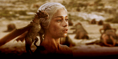 500_254gif 动态图 动图