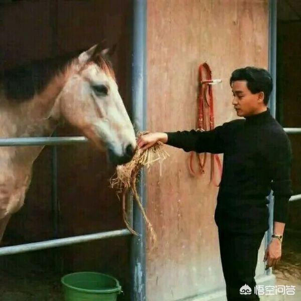 张国荣自杀之谜:张国荣生前真的非常红吗？