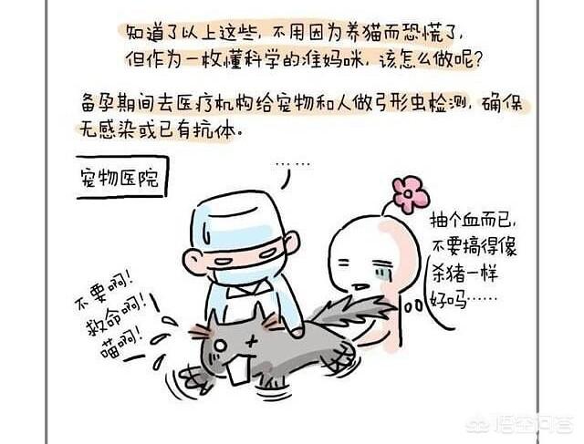 怀孕弓形虫病的症状:孕妇感染弓形虫会遗传给孩子吗？