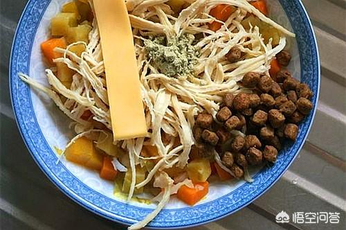 哈士奇喂养:哈士奇食量变少了，该怎么办？