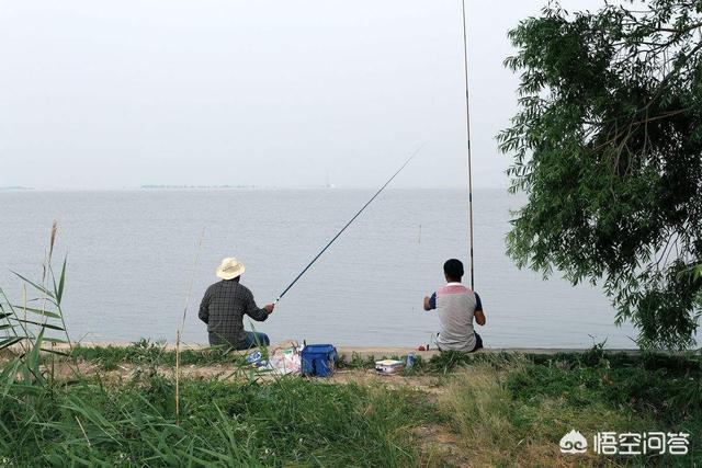 雷达鱼:如何在野钓时判断有鱼无鱼？