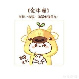 为什么金牛座男人对你已没好感,处处回避你、冷淡你,却时不时还关注你的动态？