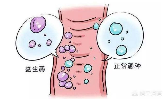 消化不良用益生菌还是消化酶:宝宝益生菌有助于缓解胀气吗？