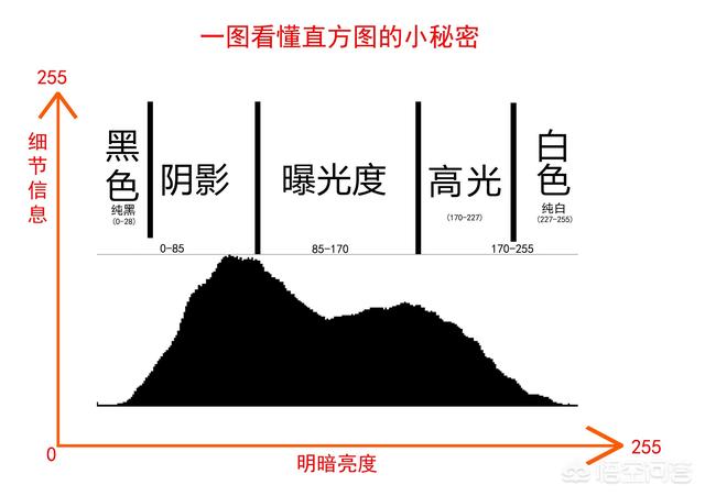 摄影小白如何快速看懂直方图？有什么简单易上手的方法？