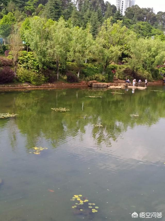 你离家一个人在外闯荡,你有过多少辛酸和泪水？
